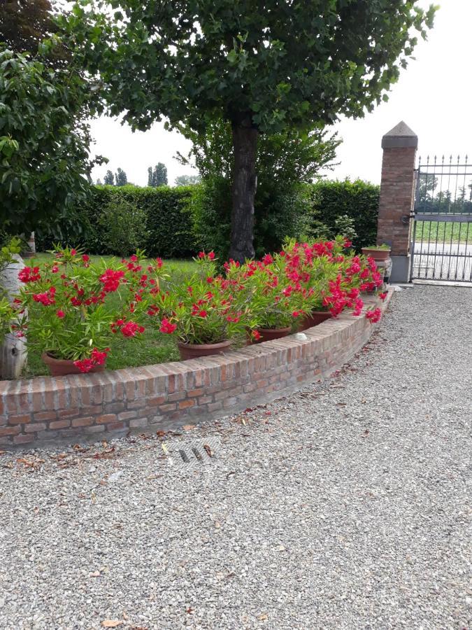 Al Sit Ed Marino Castel Maggiore Exterior foto